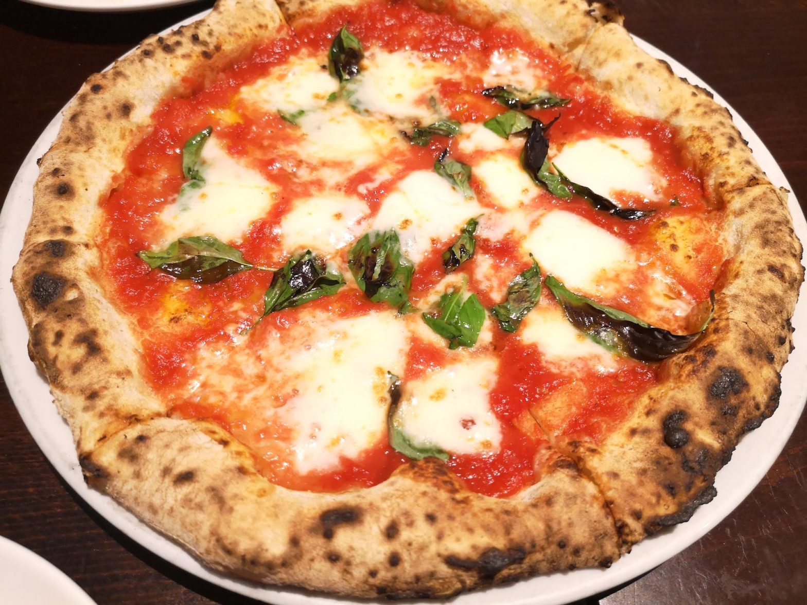 PIZZERIA CIRO 桜新町店で、イタリアンな前菜と本格窯焼きピザを楽しむ！